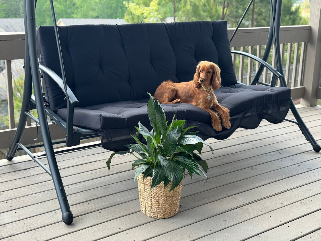 Long Cushion For Garden Swing, XL cushions, Replacement swing with ties - Extra Large Cushions 67x47 inches