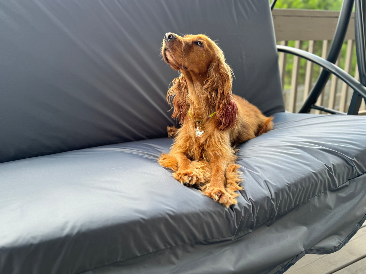 Water-resistant Cushion For Garden Swing with removable cover, 67x47 inches, Porch swing cushion with ties, XL cushions