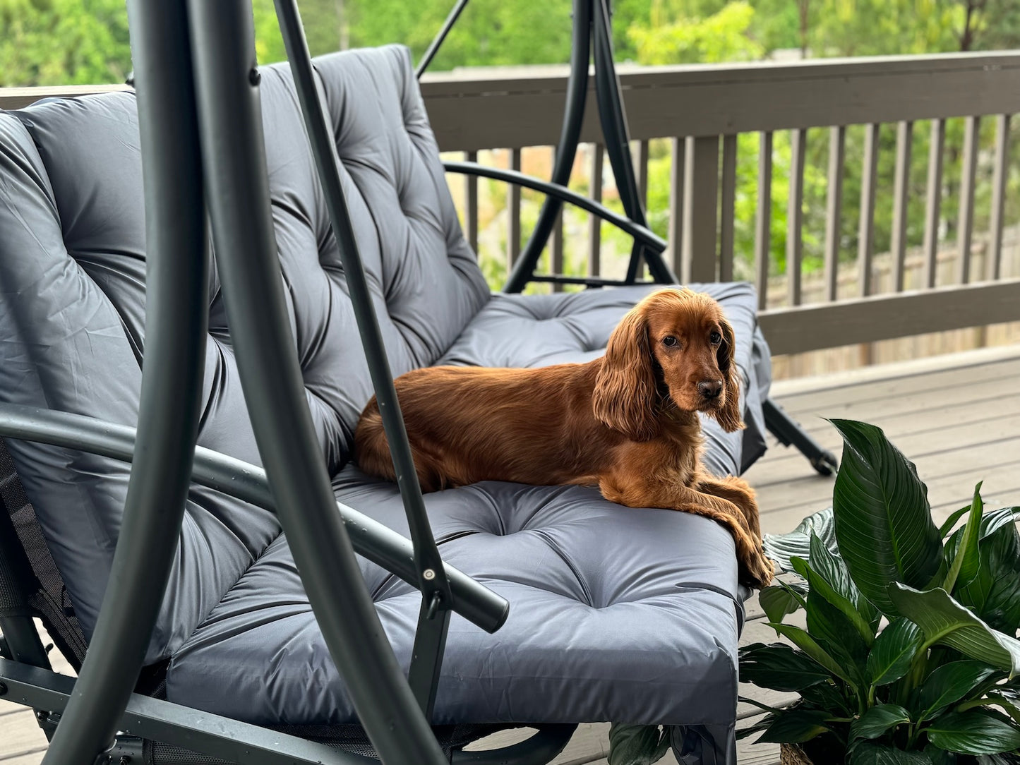 Water-resistant Long Cushion For Garden Swing, XL cushions, Replacement swing with ties - Comfort for Your Backyard, 67x47 inches